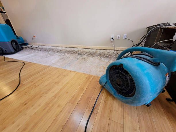 Professional Burst Pipe Water Damage technician working in Elmwood Park, NJ